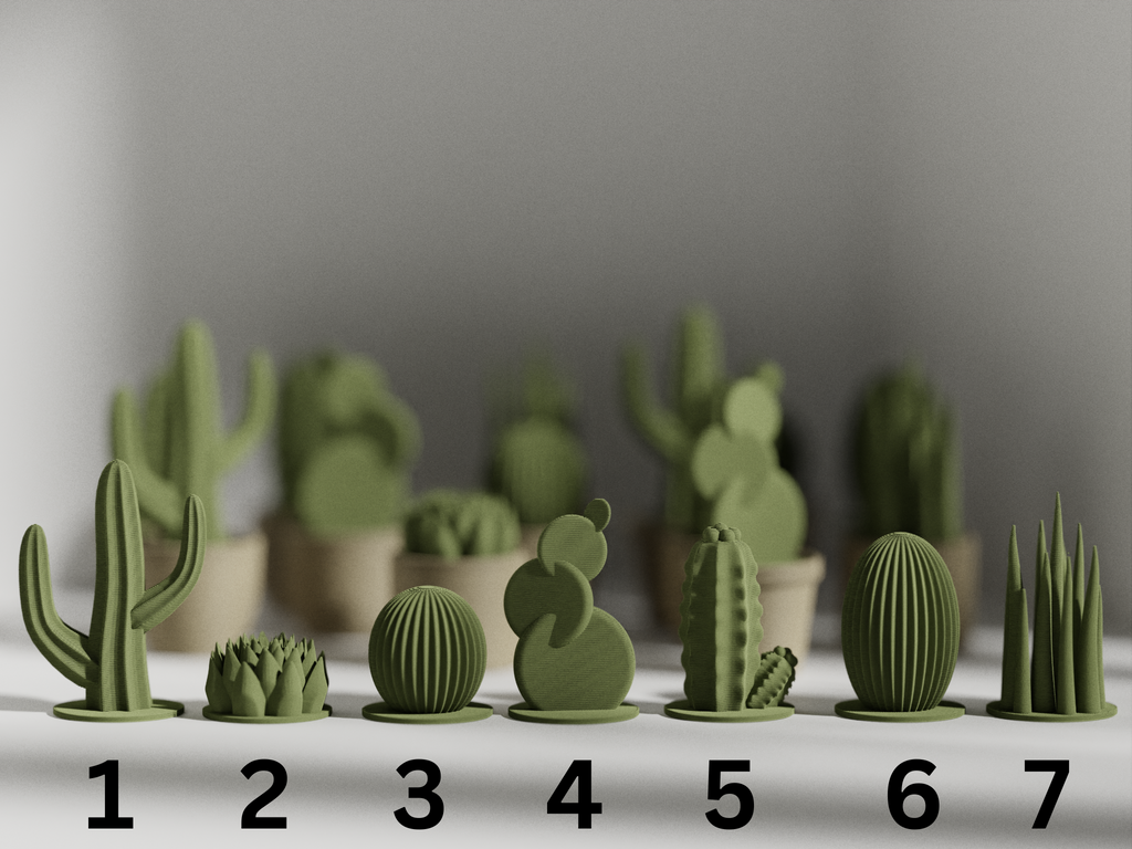 Succulent with Pot