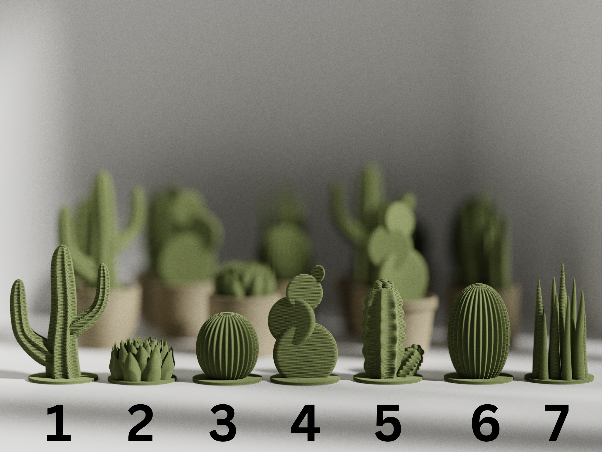 Succulent with Pot