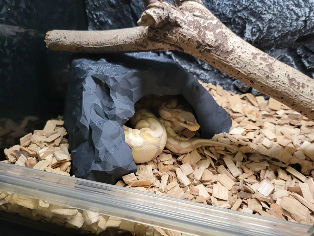 3D Printed Reptile Cave – Custom Hide for Lizards, Geckos & Snakes