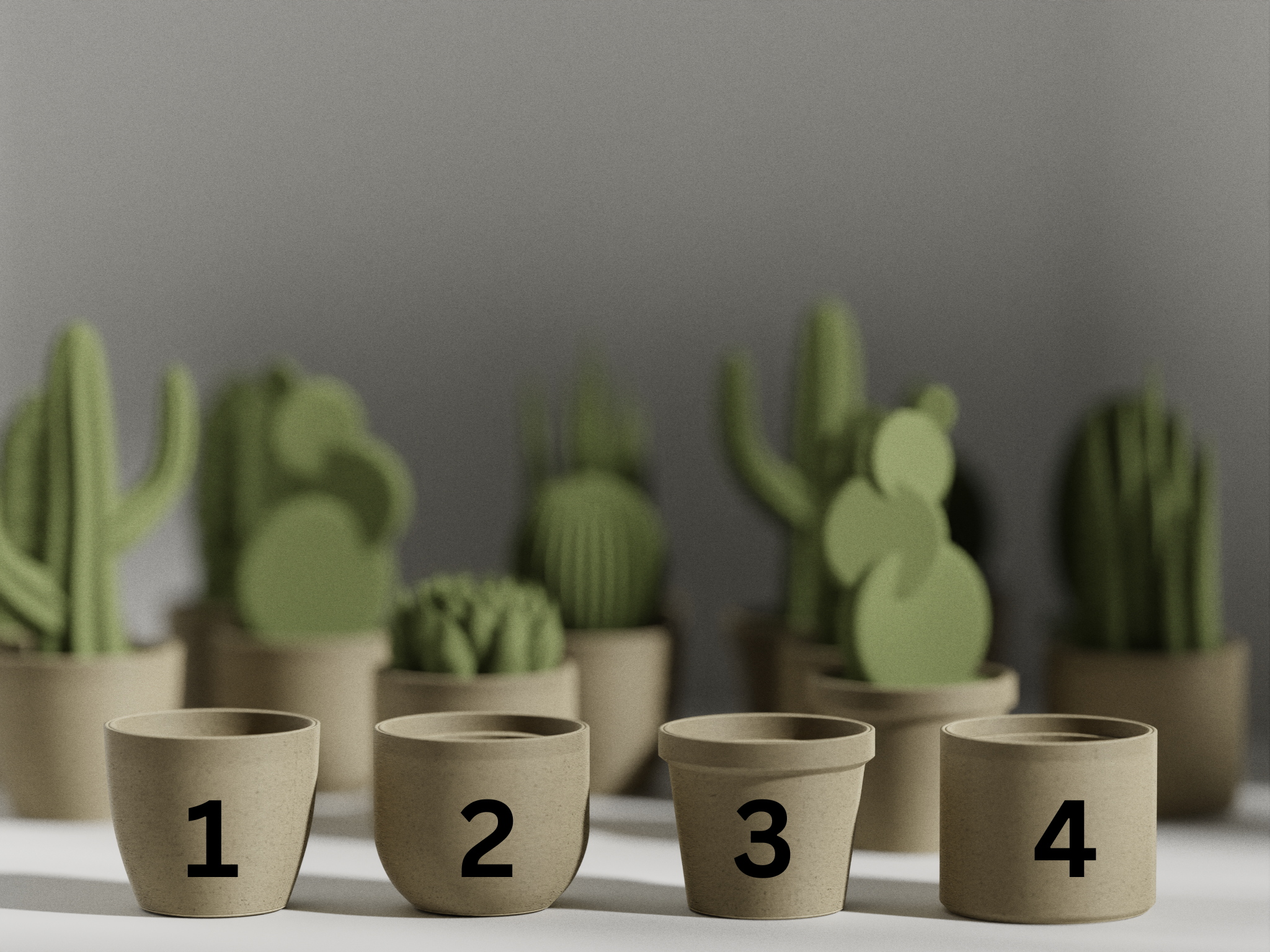 Succulent with Pot