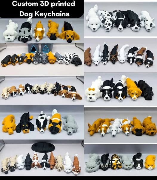 Dog and Cat Custom Keychains