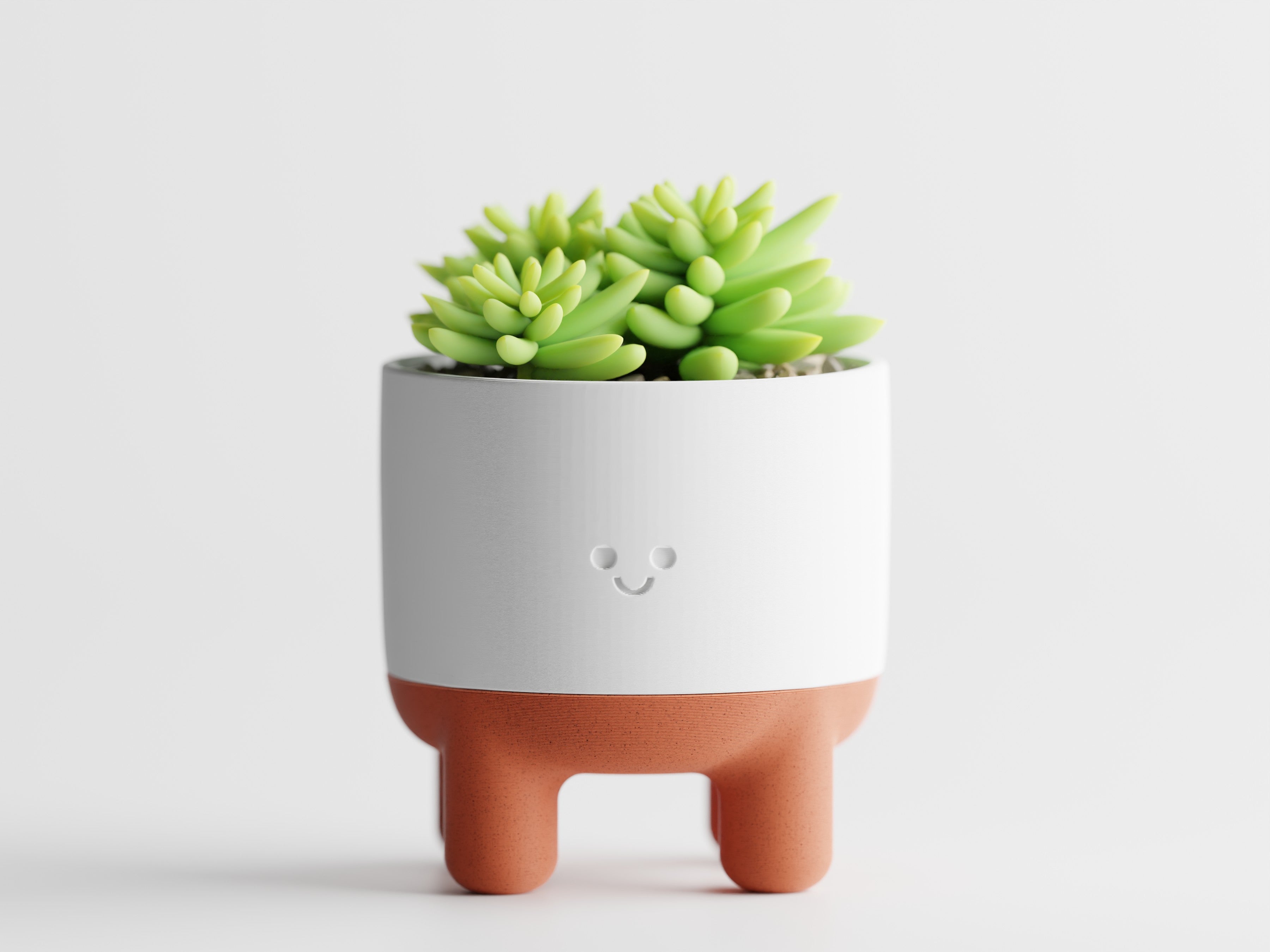 Plant Pot Melo