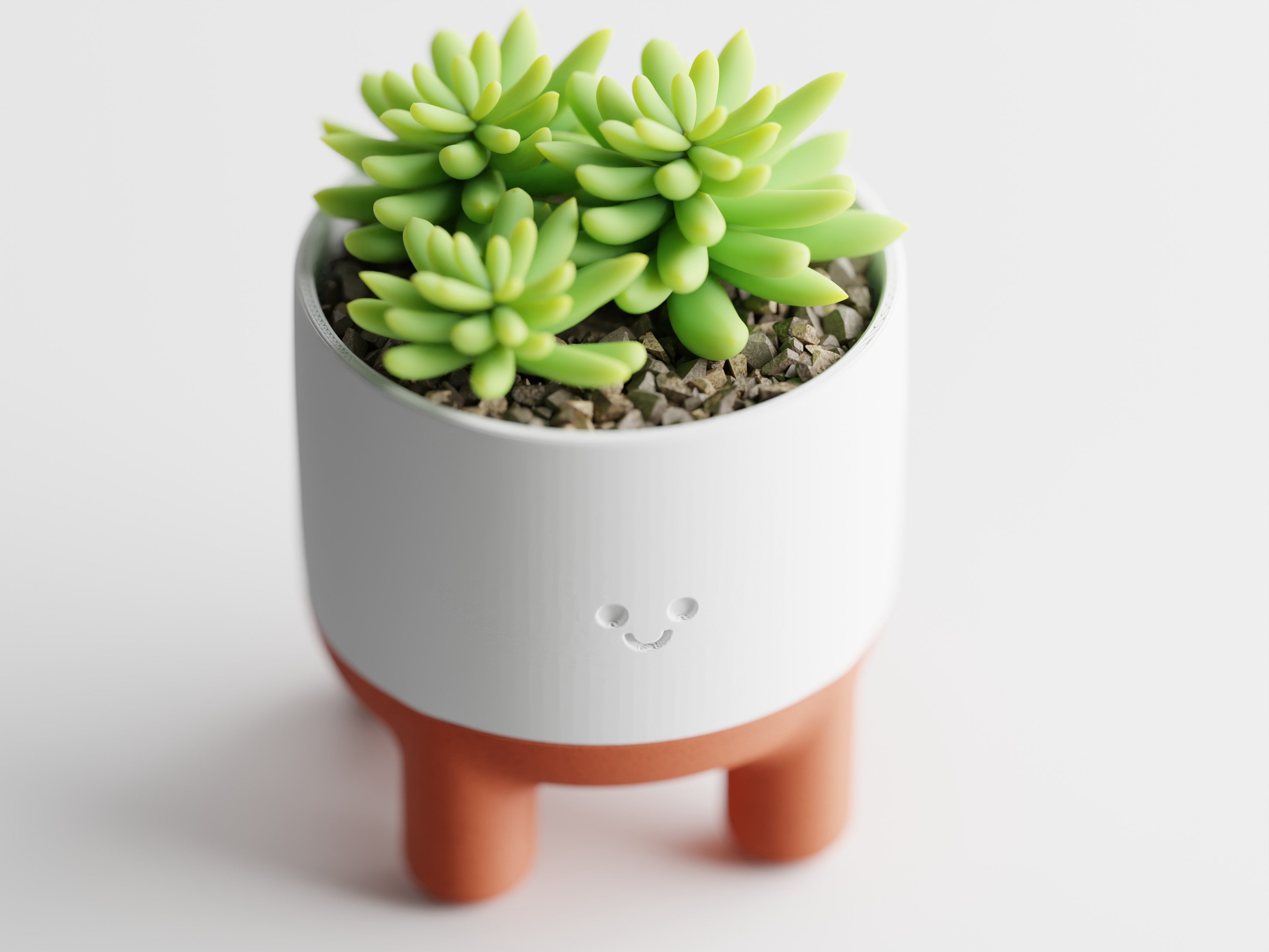 Plant Pot Melo