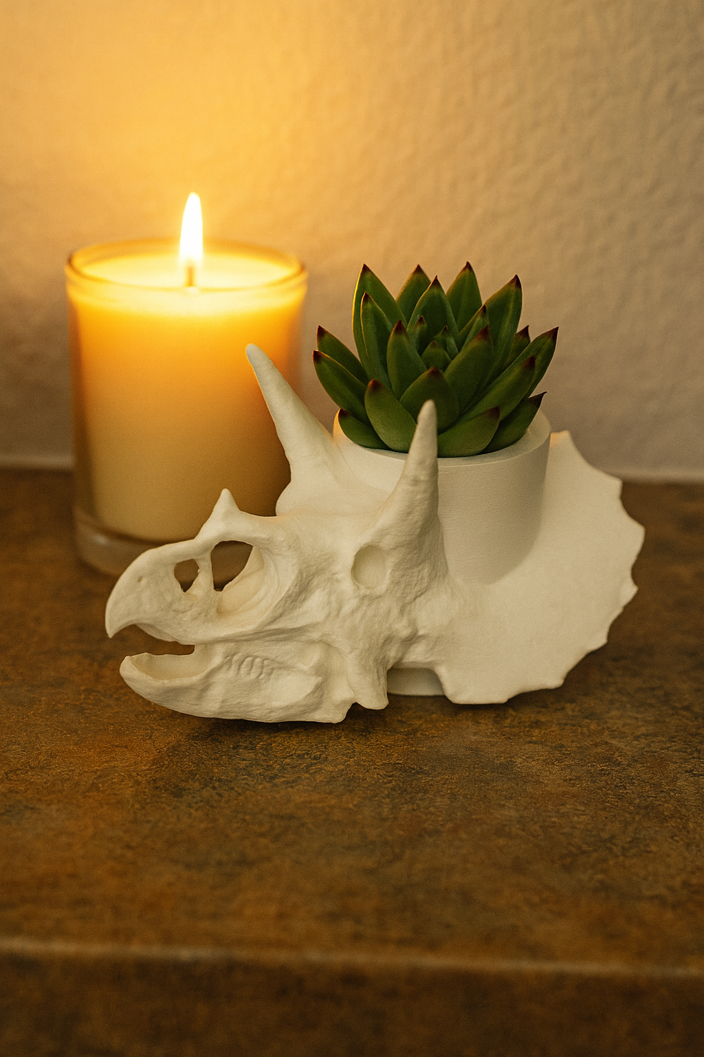 Triceratops Skull Planter
