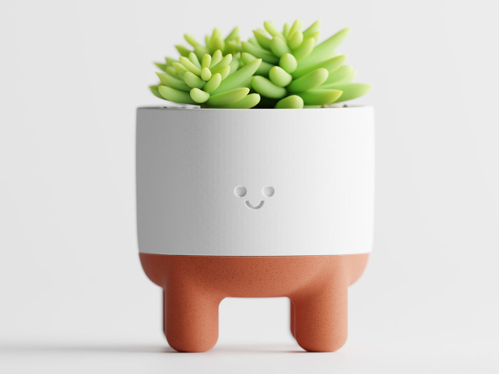 Plant Pot Melo