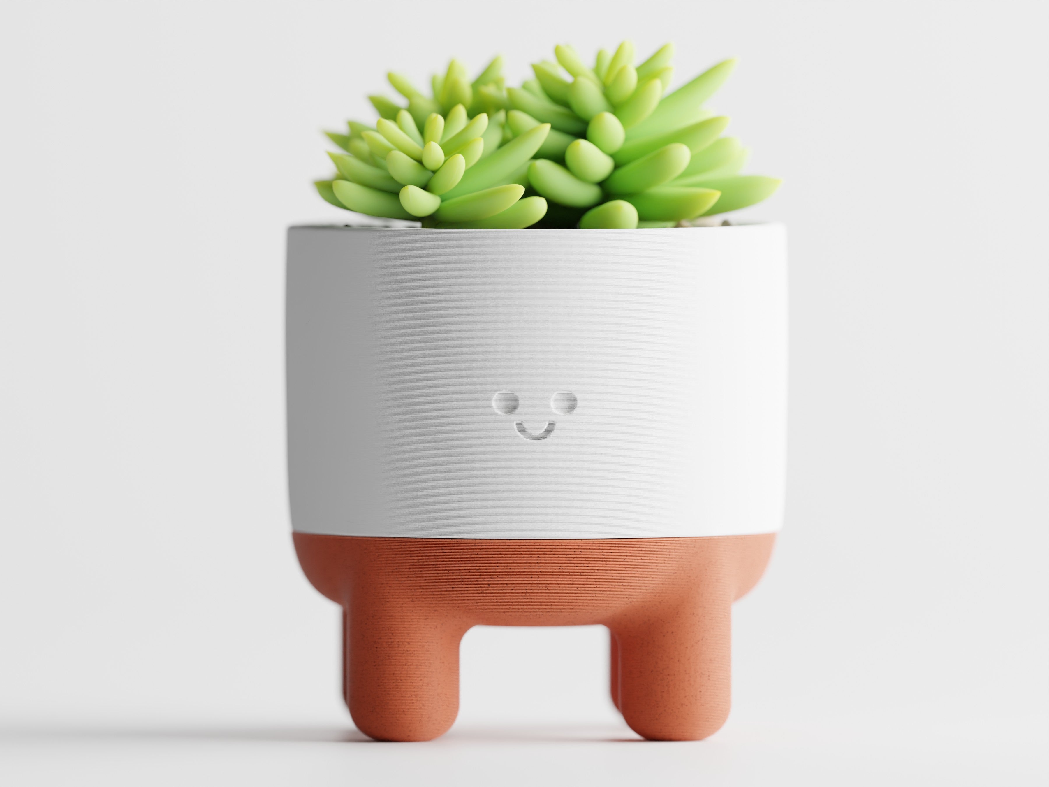Plant Pot Melo