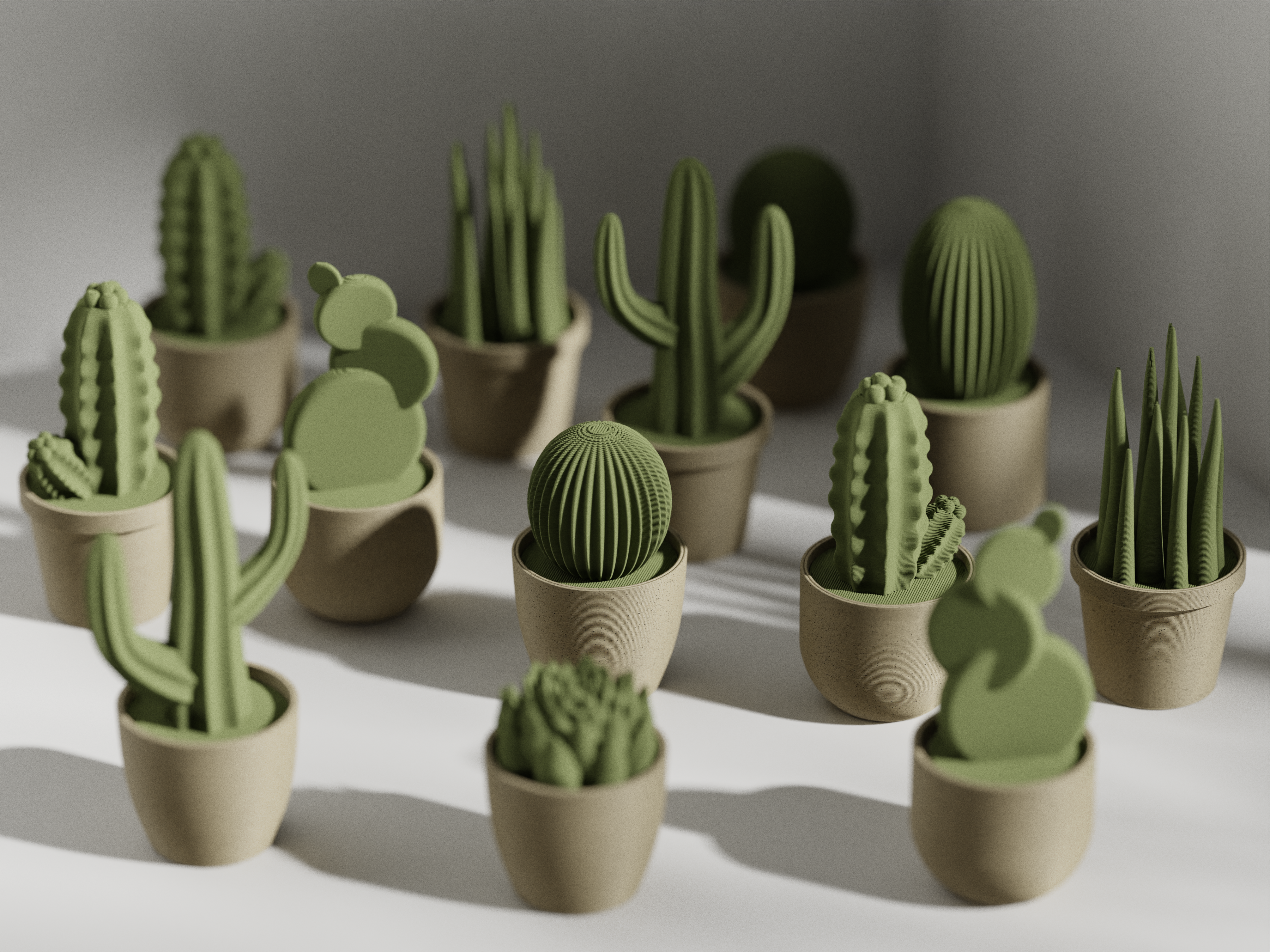 Succulent with Pot