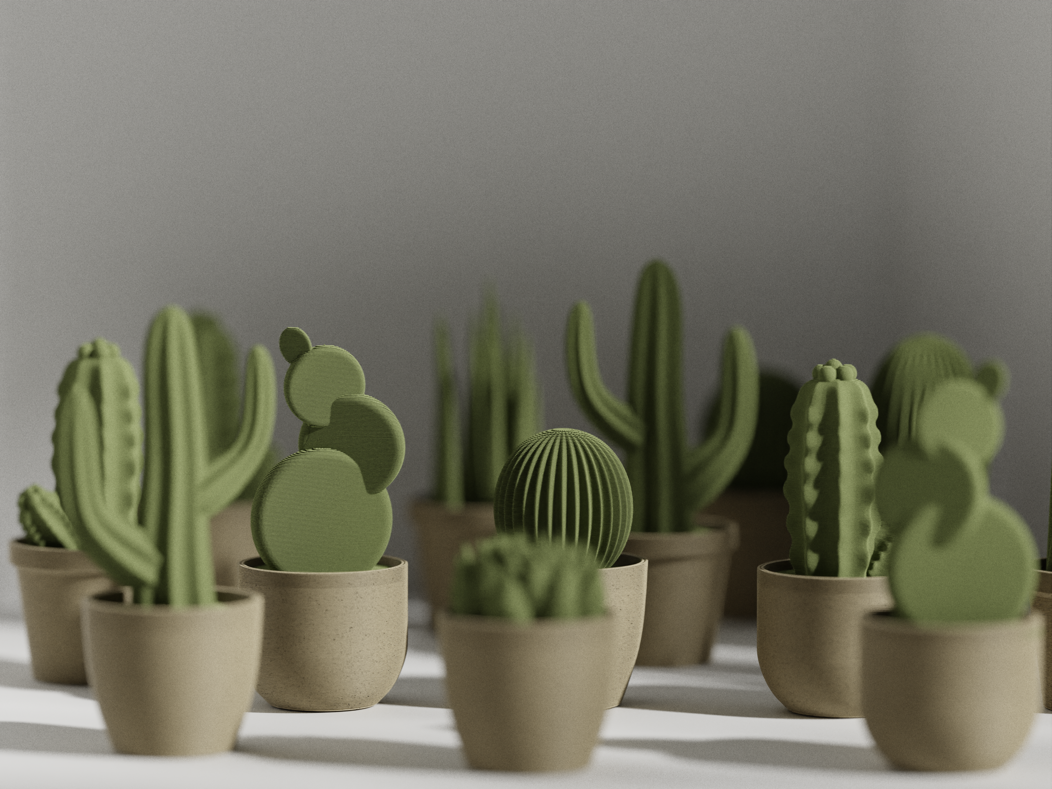 Succulent with Pot