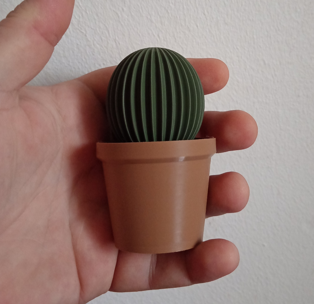 Succulent with Pot