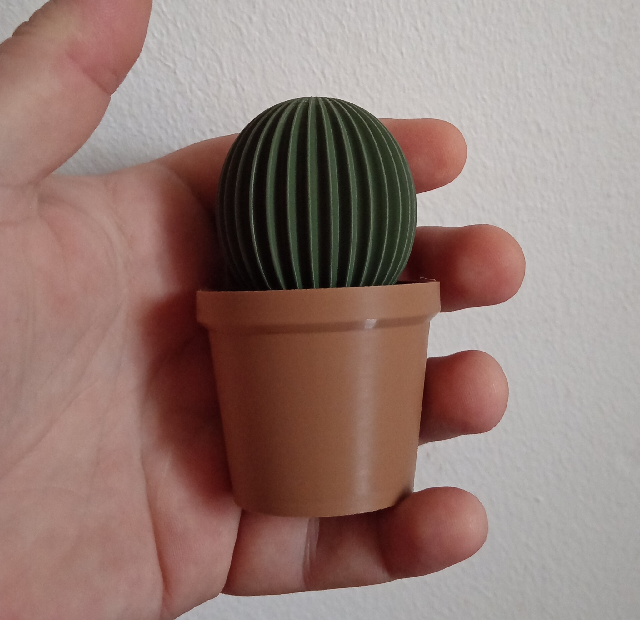 Succulent with Pot